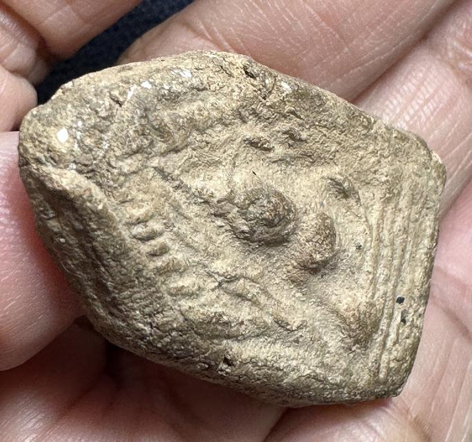 พระขุนแผนหลังจาร ไม่ทราบที่ รูปที่ 5