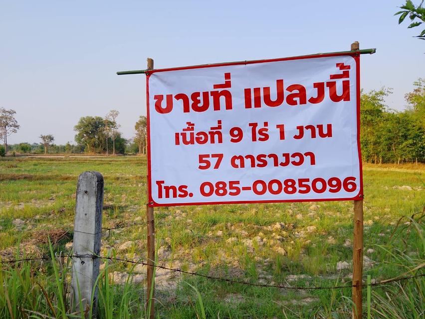 ขายที่ดิน จำนวน 9 ไร่ 1 งาน 57 ตารางวา 3