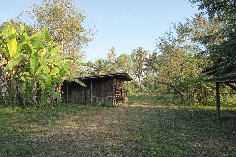 บ้านเดี่ยวชานเมืองพะเยา 12