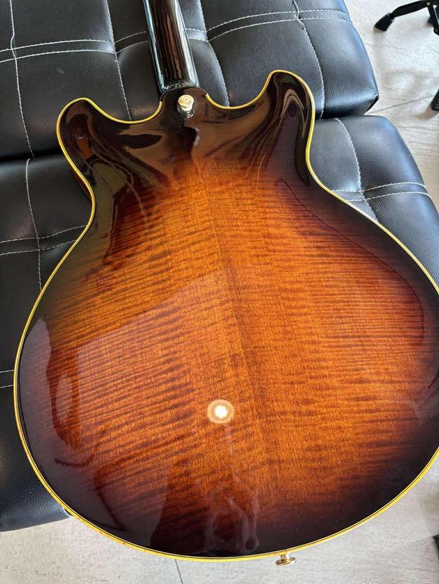 Guitar Ibanez John Schofield 11