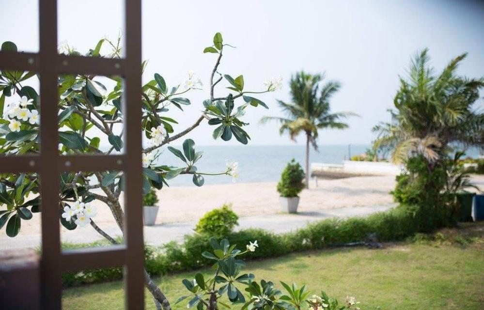 บ้านริมทะเล ติดหาดส่วนตัว โครงการ Seabreeze Pool Villa Pattaya ราคาพิเศษ ด่ววนน