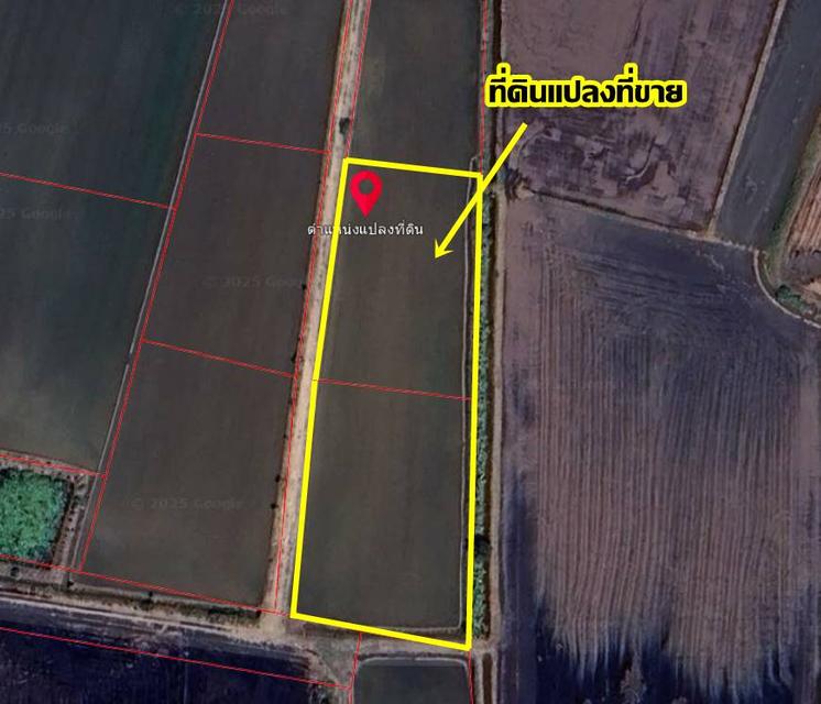 ขายที่ดินเปล่า ซอยเพิ่มสุข 2 ตำบลคลองควาย อำเภอสามโคก จังหวัดปทุมธานี 5