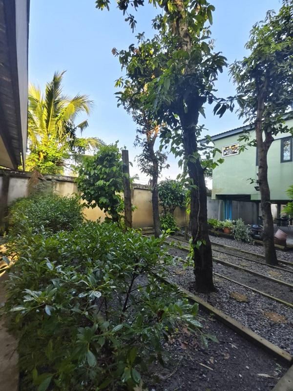 ขายบ้านสวน พร้อมที่ดิน รวม 3 ไร่ บึงกาสาม อ.หนองเสือ จ.ปทุมธานี น้ำไม่ท่วม เจ้าของขายเอง โทร.086-7777215 8