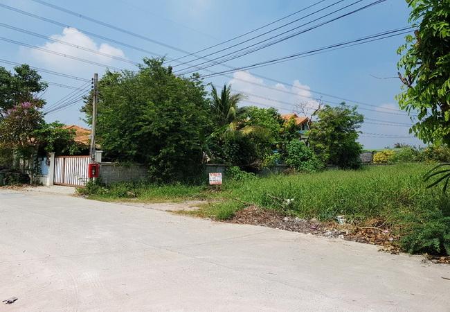 ขายที่ดิน บางบัวทอง ซอยเลียบคลองนายหลีก ใกล้วัดลาดปลาดุก เนื้อที่ 130 ตร.ว. ถมแล้ว 2