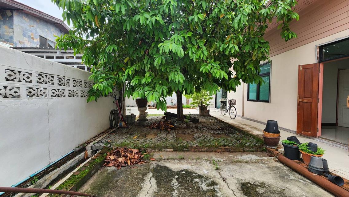ขายบ้านเดี่ยว หลังริม หมู่บ้าน เคหะนคร 3 พัฒนาการ 50 สวนหลวง ใกล้รถไฟฟ้าสถานีหัวหมาก 5