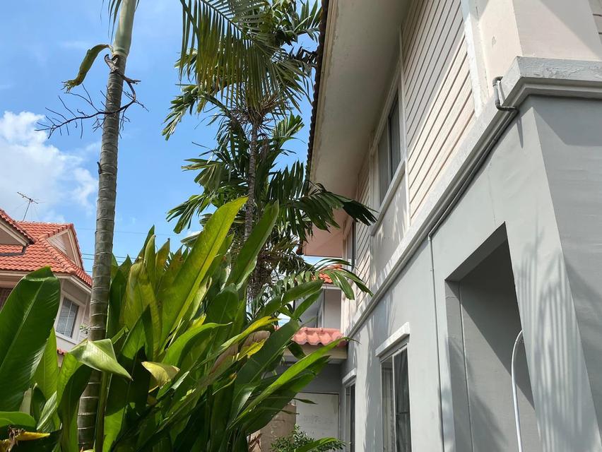 บ้านพฤกษาC ทาวเฮ้าท์ 6