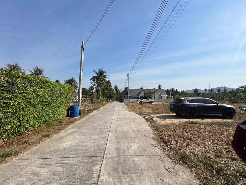 ขายที่ดินโป่ง 200 ตรว. ถมแล้วติดถนนคอนกรีต ใกล้อ่างเก็บน้ำมาบประชัน-5กม. อ.บางละมุง ชลบุรี รูปที่ 7