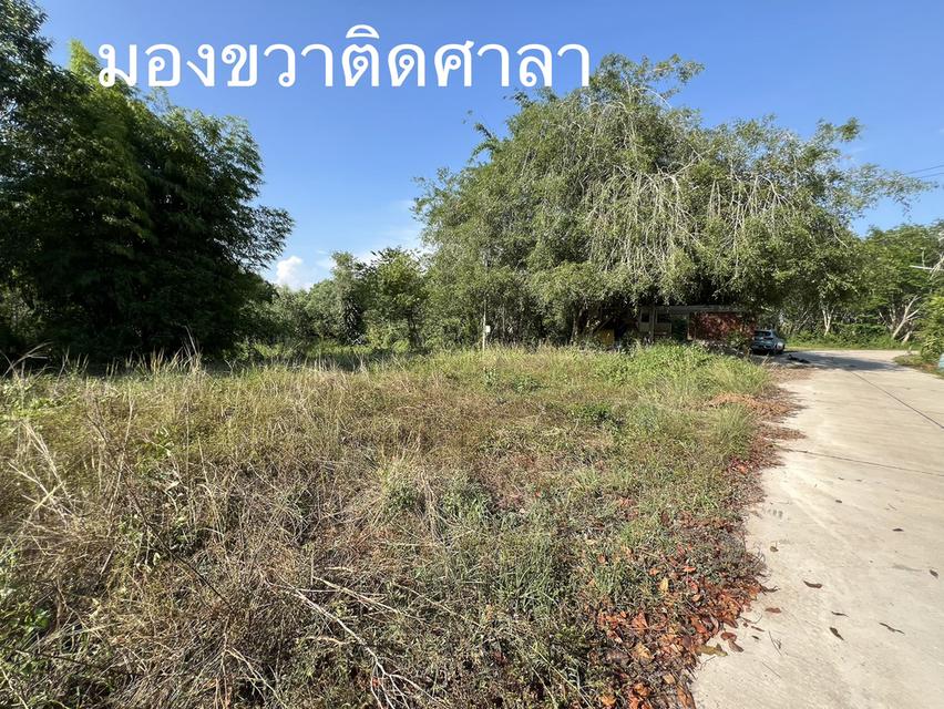 ขายที่ดิน ระยอง อำเภอ แกลง ตำบล ชากโดน เจ้าของขายเอง วัดสมอโพรง 1