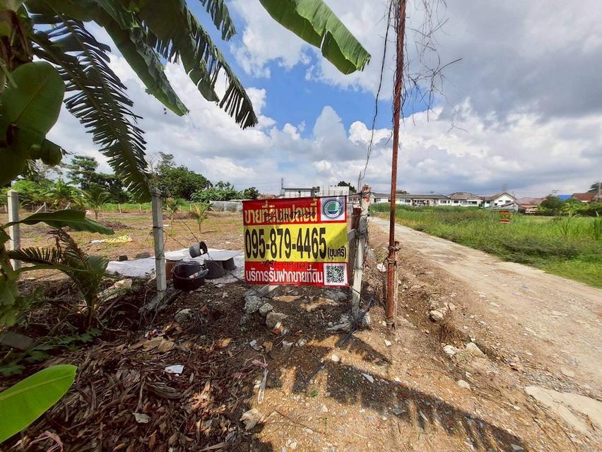 ขายด่วน ที่ดินพุทธมณฑลสายสาม 360 ตารางวา ถมแล้วทั้งแปลง ซอย 19 แยก 6-12 เขตทวีวัฒนา กทม.