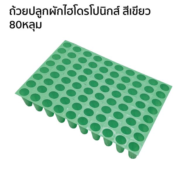 ถ้วยปลูกผักไฮโดรโปนิกส์