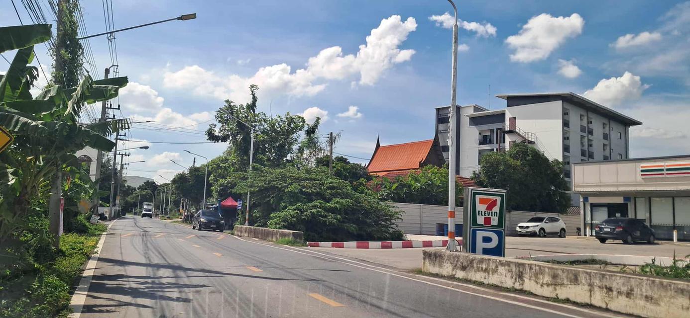 ที่ดิน 9