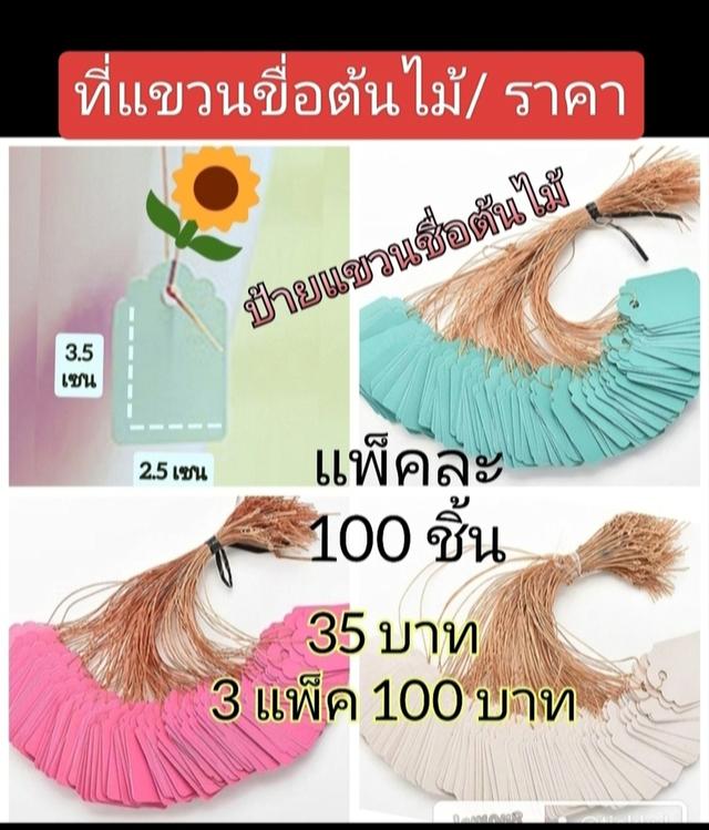 ป้ายติดชื่อต้นไม้สีสัน