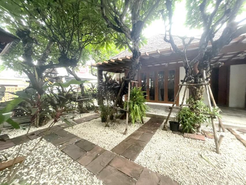ขาย บ้านเดี่ยว สไตล์รีสอร์ท ซอยนวลจันทร์ 44 ขนาด 1544 ตรม. 386 ตร.วา ทำเลดี สาธารณูปโภคครบ ใกล้ห้างและตลาด แต่งครบ วัสดุ 2