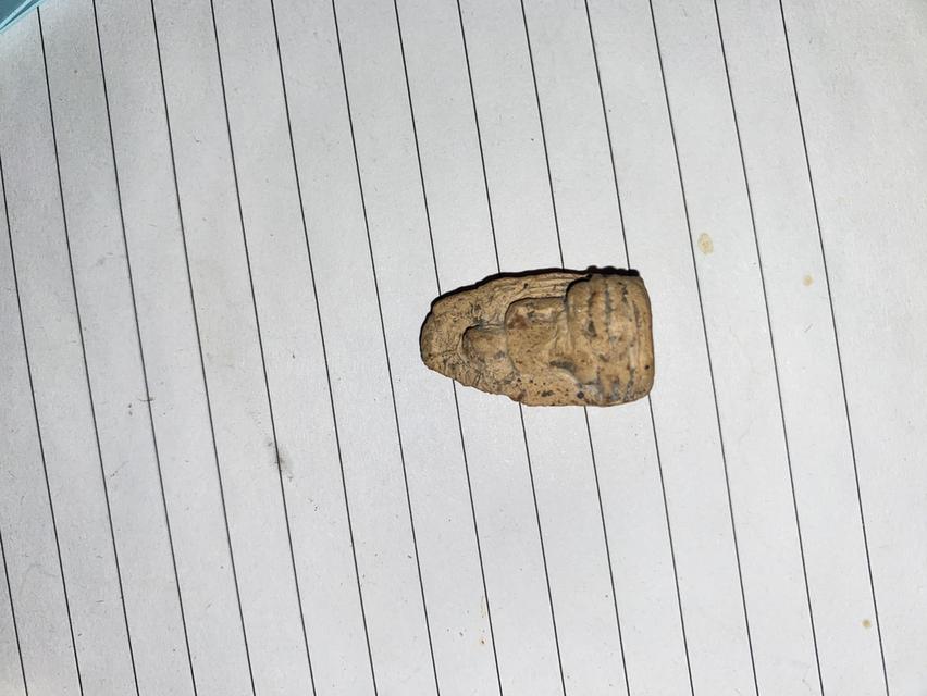 พระคงลำพูนกรุเก่าพันปี รูปย่อยที่ 2