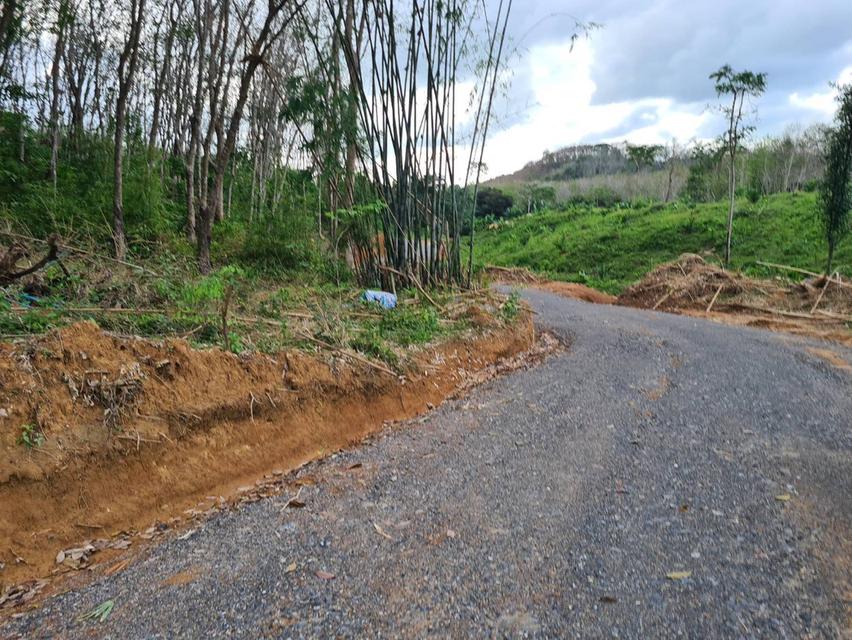 ขายที่ดิน ที่ดินแบ่งขายได้ ขายที่ดินใกล้เสม็ดนางชี จ.พังงา วิวอ่าวพังงาแบบ 360 องศา วิวสวยมากๆ อยู่ ต.คลองเคียน อ.ตะกั่วทุ่ง จ.พังงา  8