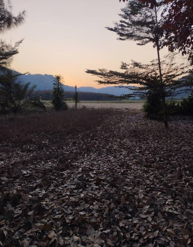 ขายที่ดินสวยวิวเขาธรรมชาติ เนื้อที่2ไร่ 3