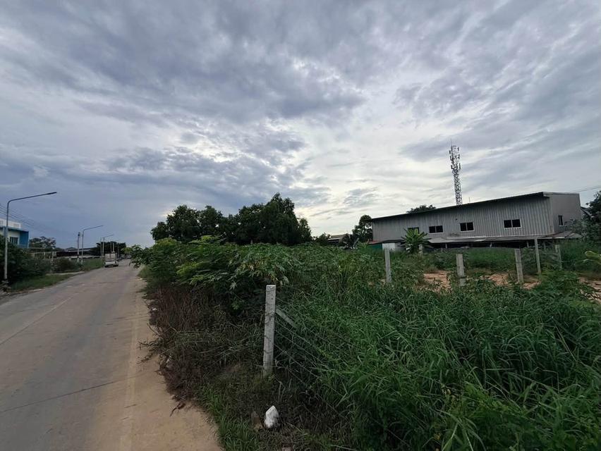 ขายด่วนที่ดินคลองสอง 363 ตรว ติดถนนคอนกรีต ซ.บงกช 69 อ.คลองหลวง จ.ปทุมธา 11