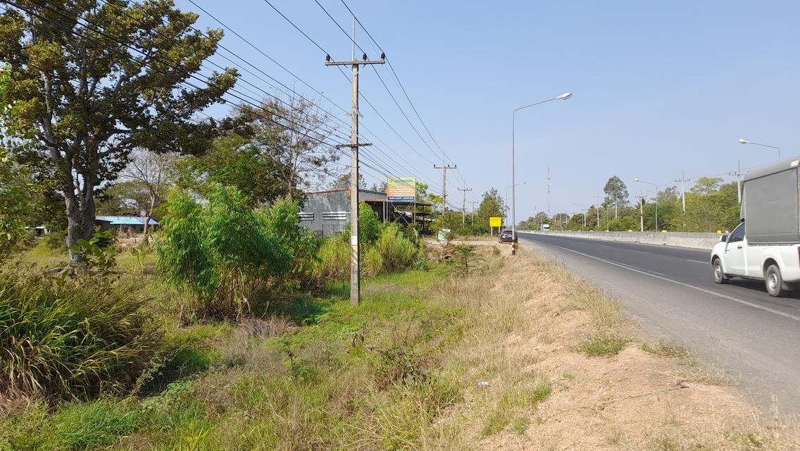 ขายที่ดิน ติดถนน 226 4