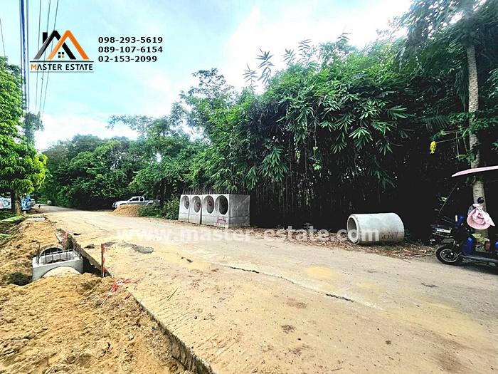 ที่ดินเปล่า 250 ตร.ว. ไทรม้า ซอย 11 (บางอ้อ 2) ติดถนนสาธารณะ ทรงสี่เหลี่ยมสวย ราคาลดประชดเศรษฐกิจ มีแค่ 3 แปลงเท่านั้น 5