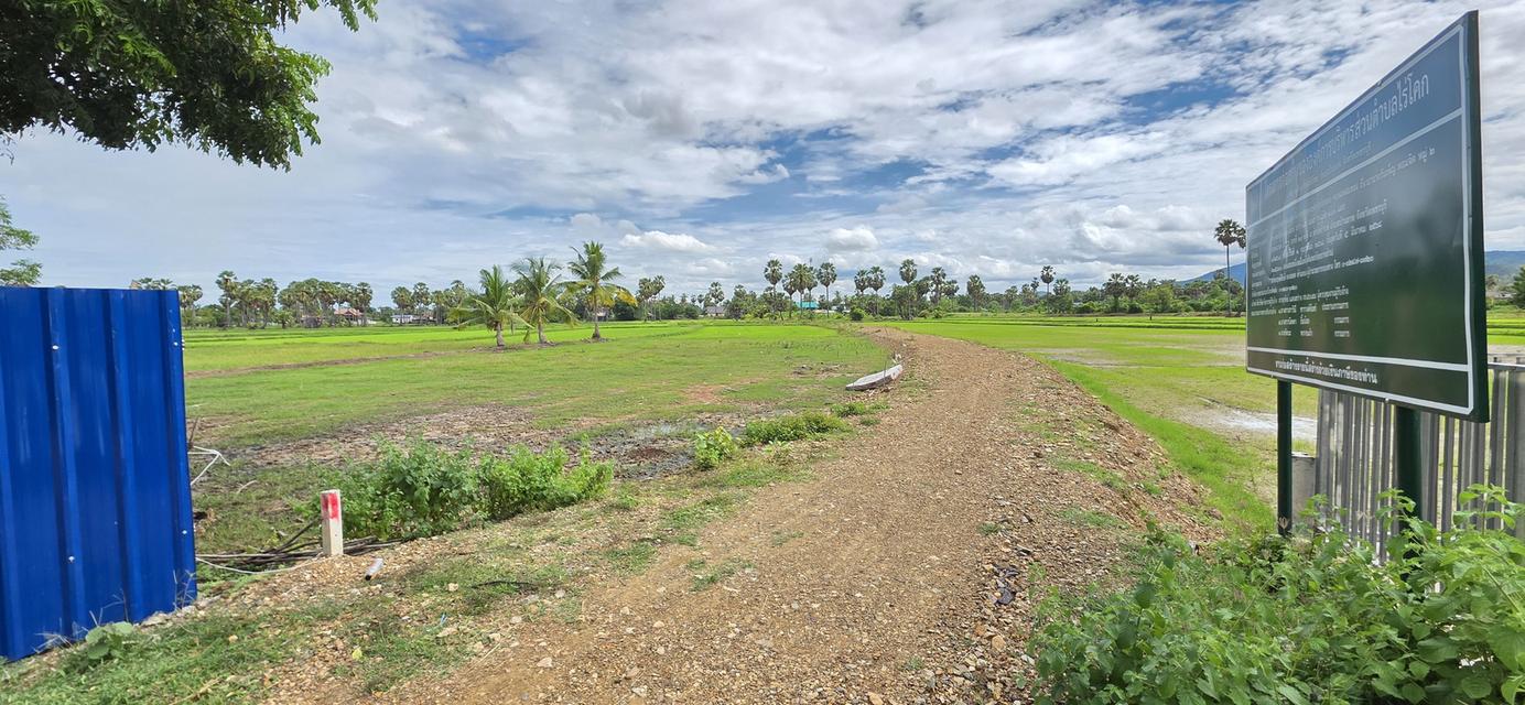 📢ที่ดินสวย🎯วิวภูเขา⛰ทุ่งนาป่าตาล🌴บรรยากาศดี🏞อุดมสมบูรณ์ 🌟2ไร่2งาน24ตรว.👑 ในชุมชน🧘ติดถนน🏡หมู่บ้าน ใกล้ไฟฟ้า🛜ประปา🌊คลอง🏧สาธารณูปโภค 7