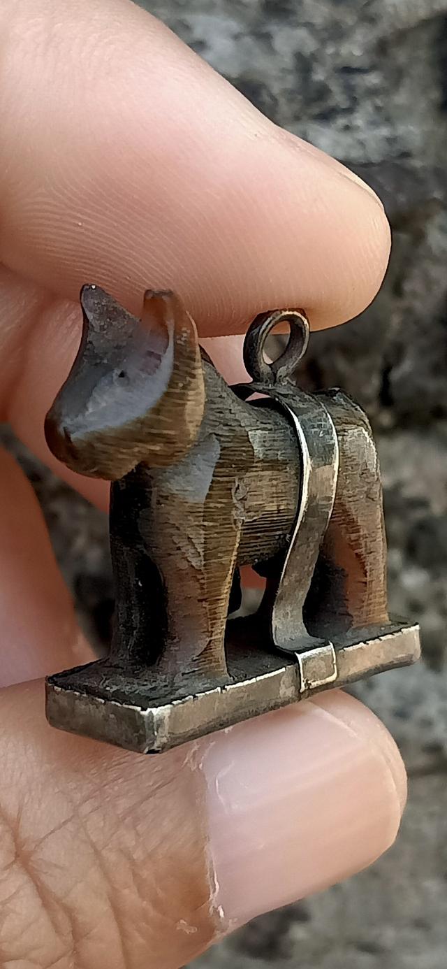 ม้า หลวงพ่ออ่ำ วัดหนองกระบอก 5