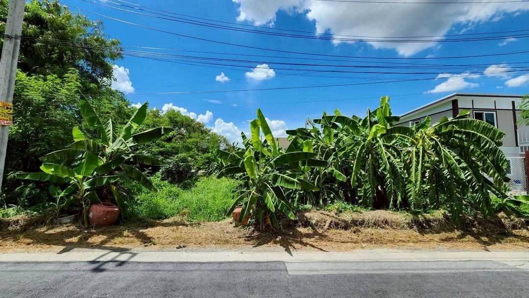 ขายด่วนที่ดิน 102 ตรว ติดถนนคอนกรีต ถมแล้ว ซ.บรมราชชนนี 76 ตลิ่งชัน กทม. 1