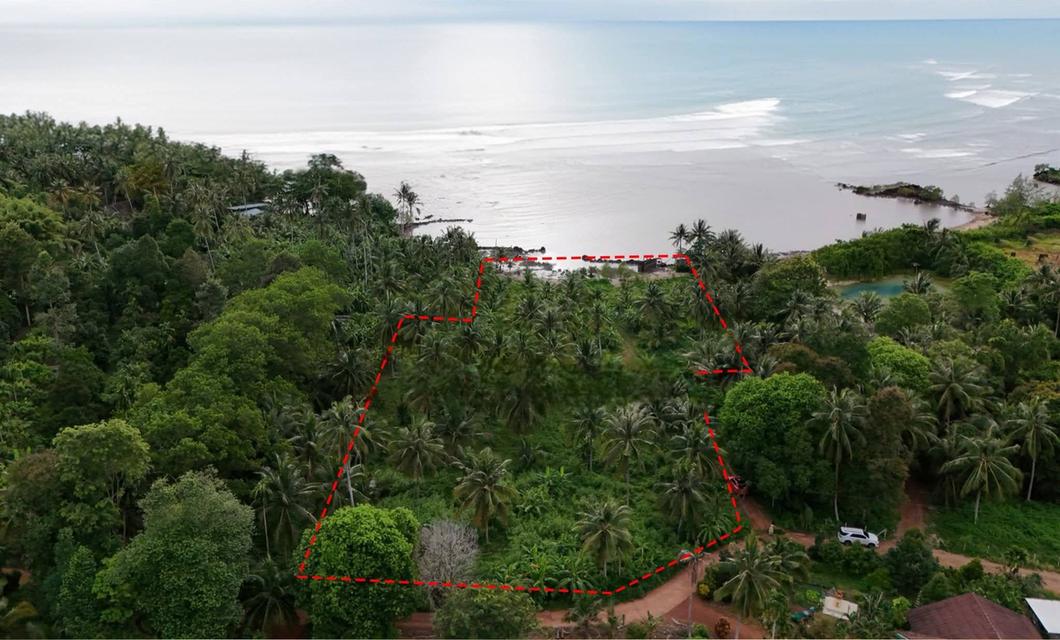 ขายที่ดินบางปิดติดหาดส่วนตัวเนื้อที่ 5 ไร่ ติดถนนสาธารณะโฉนดนส.4 ใกล้สนามบินตราด-10กม. อ.แหลมงอบ จ.ตราด 1