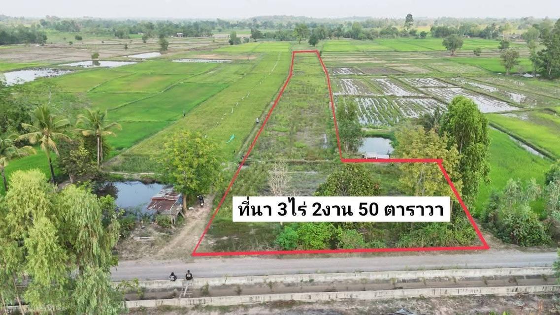 🔥🔥🔥 ด่วนที่สุด! ราคานี้มีแปลงเดียว 🔥🔥🔥 🌾 ขายที่นา-ที่สวน ทำเลดี ใกล้เทศบาลบ้านตาด 📍 ต.บ้านตาด อ.เมือง จ.อุดรธานี 📐 เนื้อที่ 3 ไร่ 2 งาน 77 ตร 2
