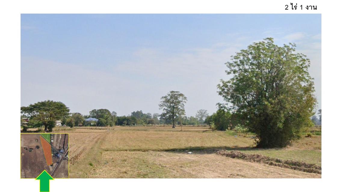 ขายที่ดิน 7 ไร่ บ้านอุดม อ.ธวัชบุรี จ.ร้อยเอ็ด 13