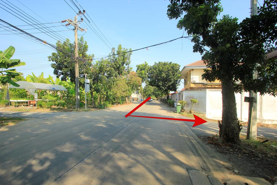 ที่ดินพุทธมณฑลสาย2ซอย21 ซอยศุภมิตร 114วา ที่ดินสร้างบ้าน ติดทางสาธารณะประโยชน์ ใกล้ถนนพรานนกสาย4 ตัดใหม่ เดินทางสะดวก 30,000บาท/วา 13