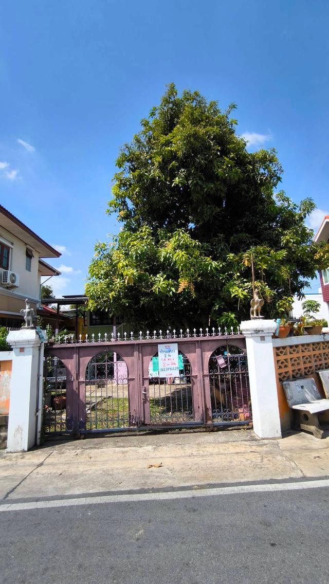 ที่ดิน​พร้อมสิ่งปลูกสร้าง​ 54ตร.ว.ราคาขาย2.1ล้าน 1