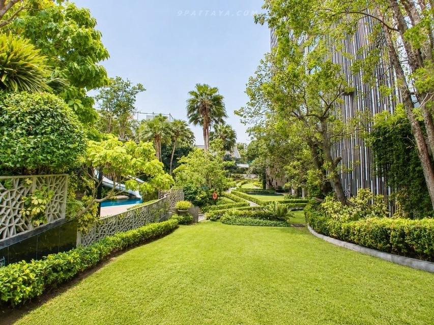 For Sale — Sea View Condo at The Riviera Wongamat Beach, Pattaya 35 sq.m.• Building: B• Floor: 23• Sea view 11