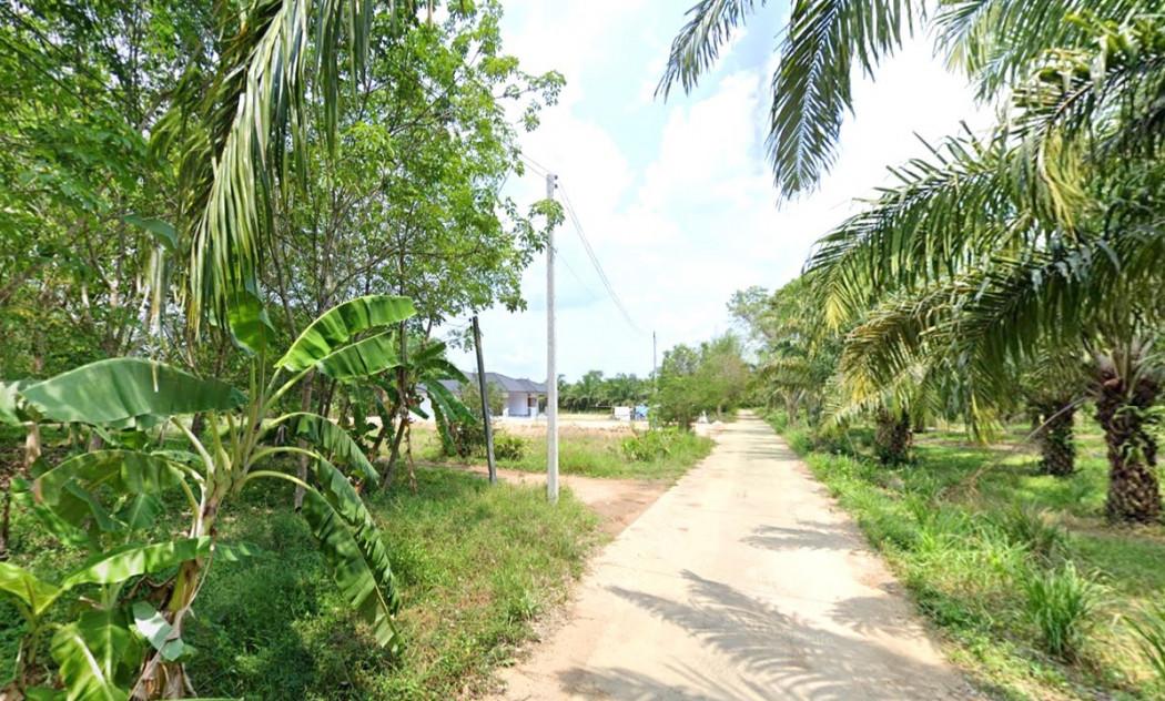 ขาย ที่ดิน ME374 เขตเทศบาล บ่อทอง ชลบุรี บรรยากาศบ้านสวน ติดถนนสาธารณะ ทำเลดี ราคาถูก ขนาด 2 ไร่ 2 งาน 64.2 ตรว ใกล้ตลาด 1