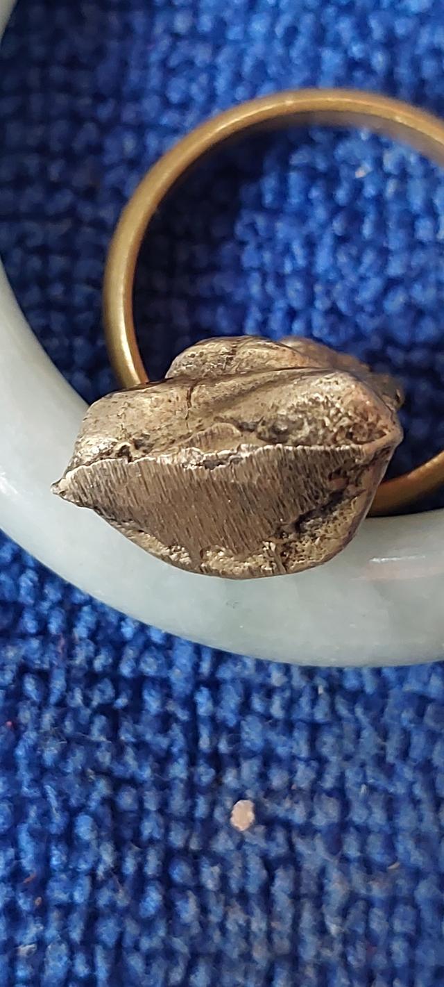 พระสังกัจจายน์ อาจารย์ดิษฐ์วัดปากสระพัทลุง รูปที่ 7