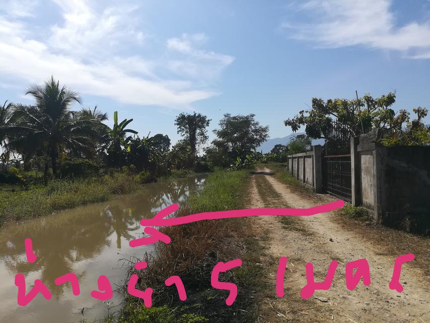 ขายที่ดิน+บ้านสวน อำเภอแม่ริม จังหวัดเชียงใหม่ บรรยากาศธรรมชาติสโลว์ไลฟ์ เหมาะทำคาเฟ่ รีสอร์ท ฟาร์มสเตย์ และธุรกิจเกษตร 10