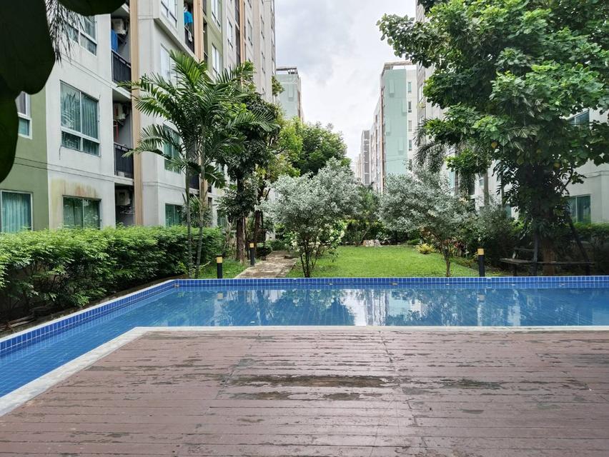 ขายคอนโด วี คอนโด ลาดกระบัง เฟส A ห้องวิวสวน บรรยากาศดี รีโนเวทใหม่ทั้งห้อง สวย สะอาด 14