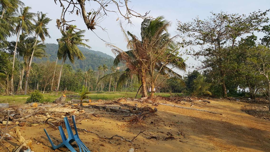 ขายที่ดินสุดพิเศษบนเกาะช้าง19ไร่ 6