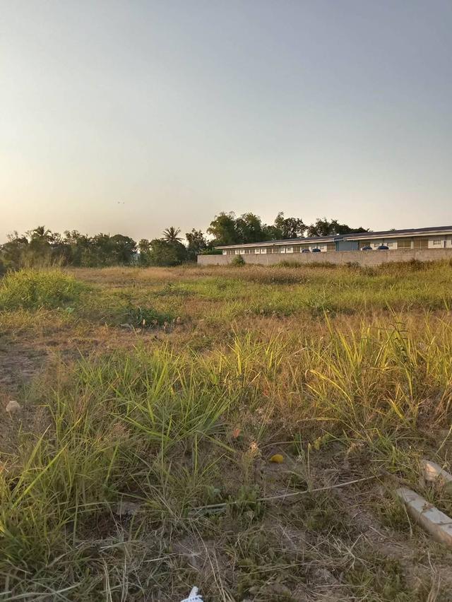 ที่ดินสวย โฉนดครุฑแดง ต.นากลาง อ.สูงเนิน จ.นครราชสีมา อยู่ติดชุมชน ตรงข้ามกับ อบต.ต.นากลาง ห่าง ตลาด, 7-11, CJ ไม่ถึง500 เมตร ใกล้นิคมอุตสาหกรรมนวนคร 8