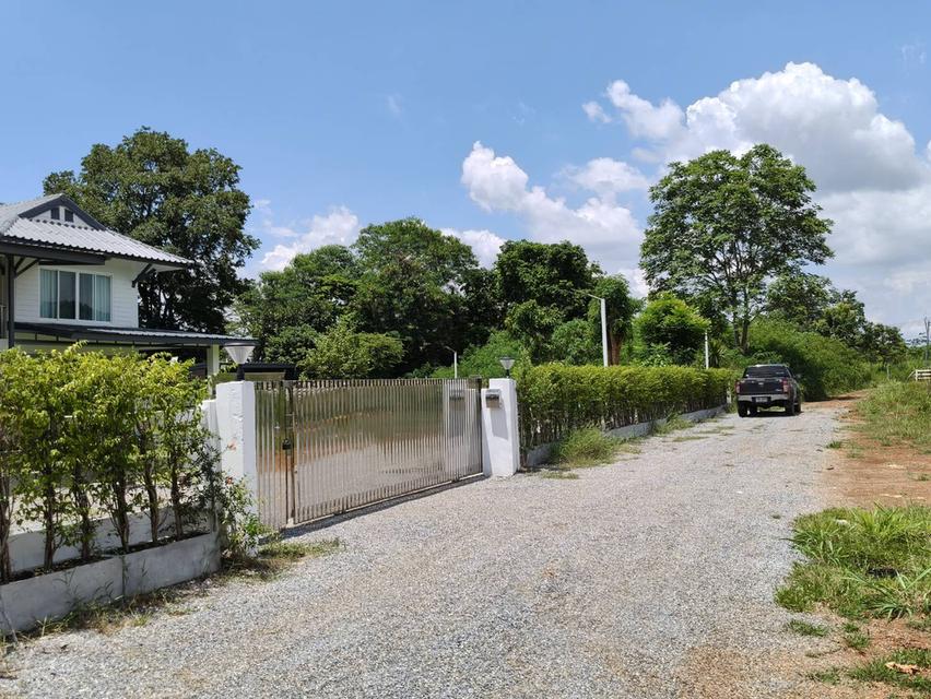 ขายที่ดินหมูสี เขาใหญ่ ปากช่อง 1.2 ไร่ คลองดินดำ ตรงข้ามร้านชาหน้าผาเขาใหญ่ น้ำไฟพร้อม ไม่ลึกไม่เปลี่ยว ใกล้อุทยานแห่งชาติเขาใหญ่ เซเว่น ธนะรัชต์ 3