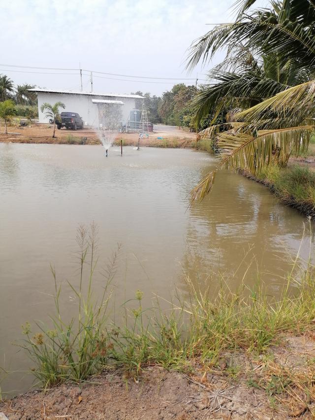 ที่ดินสวยบรรยากาศ​ดีใกล้กรุงเทพ​ เดินทางสะดวก​ 11