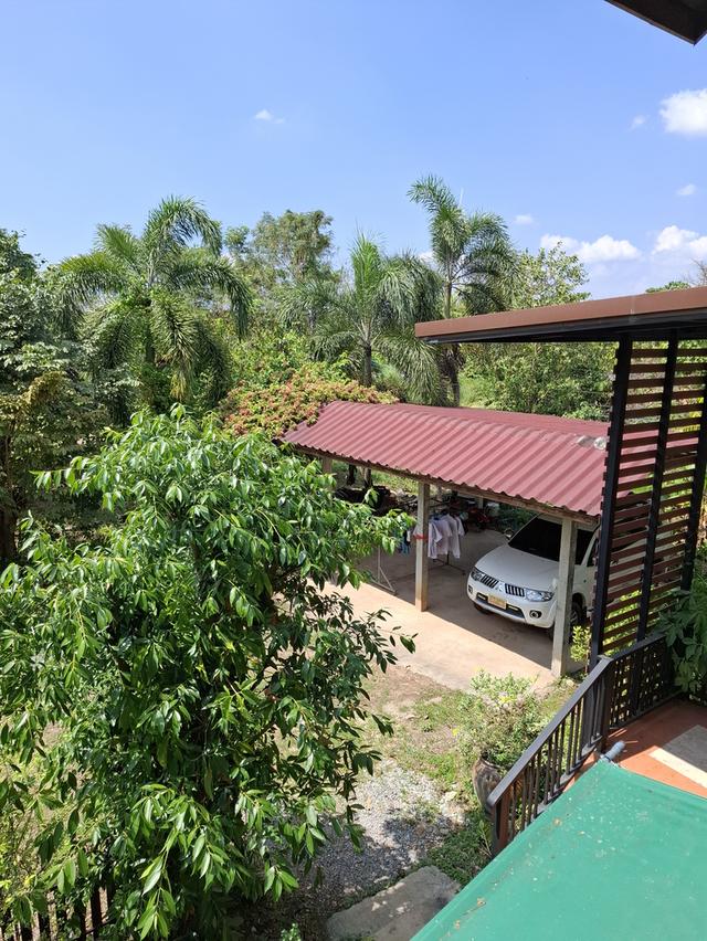 บ้าน2 ชั้น 4ห้องนอน 2ห้องน้ำ พื้นที่ใช้สอย 260 ตรม. พร้อมที่ดิาปลูกผลไม้รอบบ้าน 1 ไร่ 6