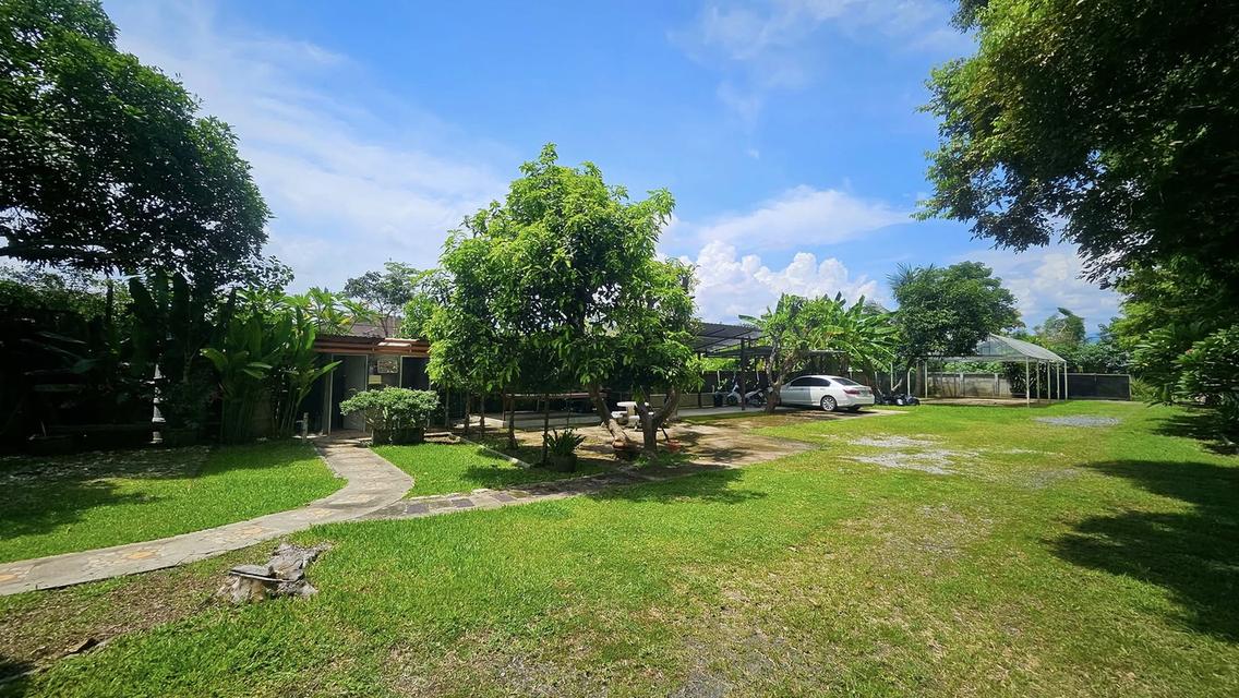 🏡ขายที่ดินแถมบ้านสวนใกล้ร.พ.สันทราย/กาดฝรั่ง/ม.แม่โจ้ เข้าเมืองไม่เกิน 20 นาที น้ำไม่ท่วม