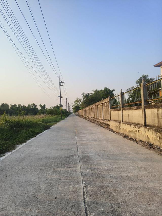 ขายที่ดิน 2-4 ไร่ คลอง 13 ลำลูกกา ⚡⚡ 2