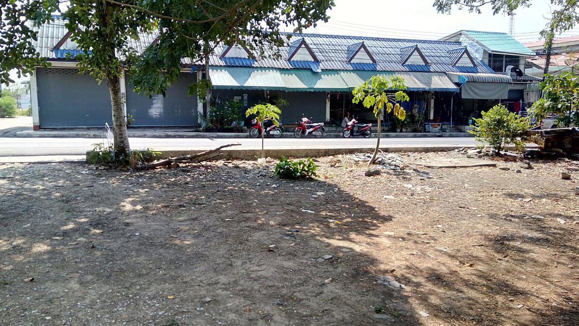 Land about 3 Rais Suitable for House, very peacefully with n 1