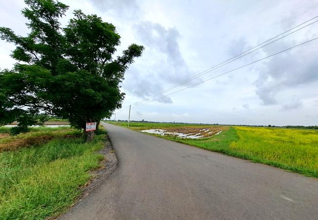 ขายที่ดิน บึงเทพยา ตำบลบางน้ำเปรี้ยว อำเภอบางน้ำเปรี้ยว ฉะเชิงเทรา 3