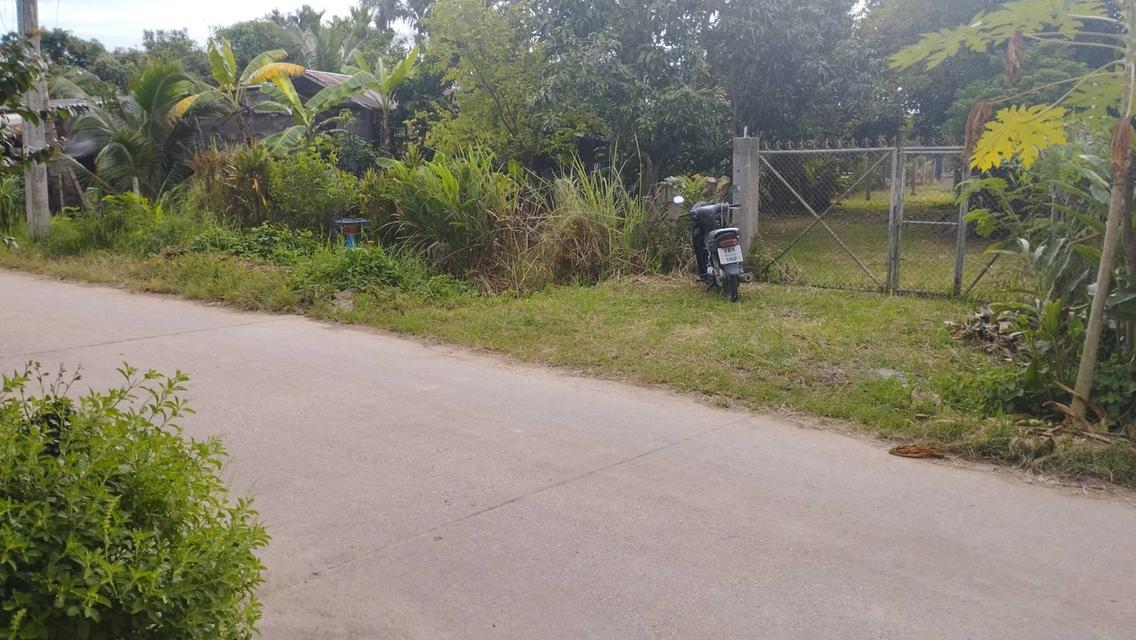 ที่ดินทำเลทอง ตำบลป่าไผ่ อำเภอสันทราย จังหวัดเชียงใหม่ 6