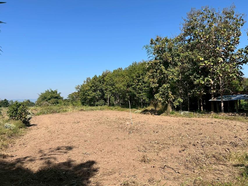 ขายที่ดินถูกกว่าราคาประเมิน 12