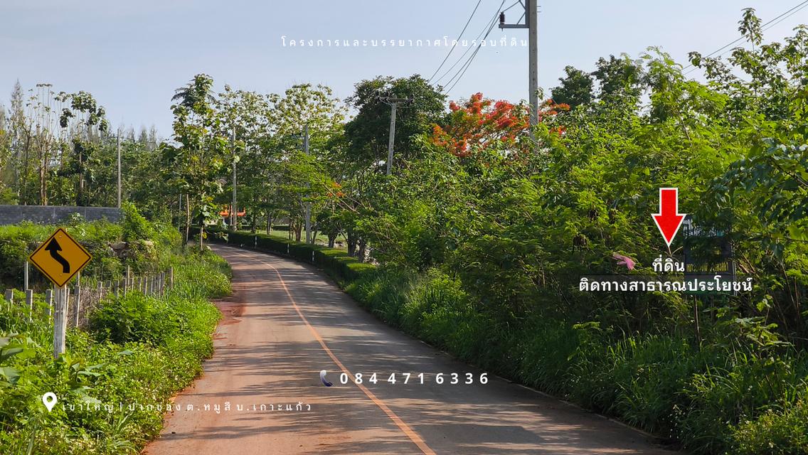 เขาใหญ่ | ปากช่อง โซนหมูสี *ด้านหลังติดเขา* ใกล้ MADAME VALLEY(มาดามแป้ง) เนื้อที่ 4-3-69 ไร่ ราคา 3.5 ล้าน/ไร่ 3