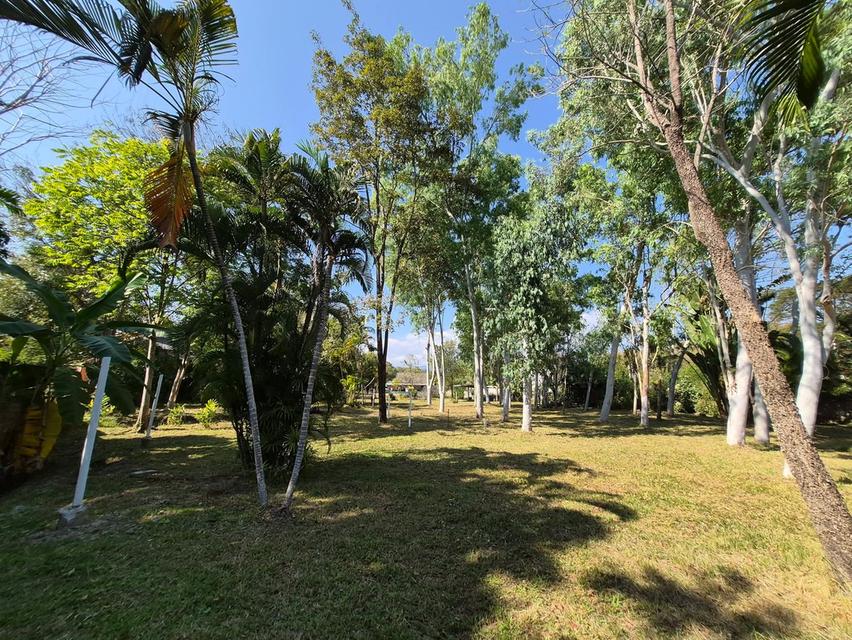 ที่ดิน ใกล้เชียงใหม่ไนท์ซาฟารี และ พืชสวนโลก จังหวัดเชียงใหม่ 6