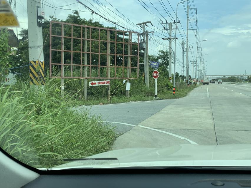 ขายที่ดิน 64-1-40 ไร่ ซอยสนามยิงปืนราชสีห์ อำเภอสามโคก จังหวัดปทุมธานี 3